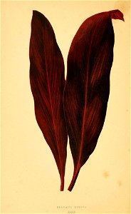 n183_w1150