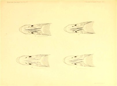 n283_w1150