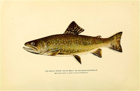 n179_w1150