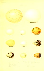 n124_w1150
