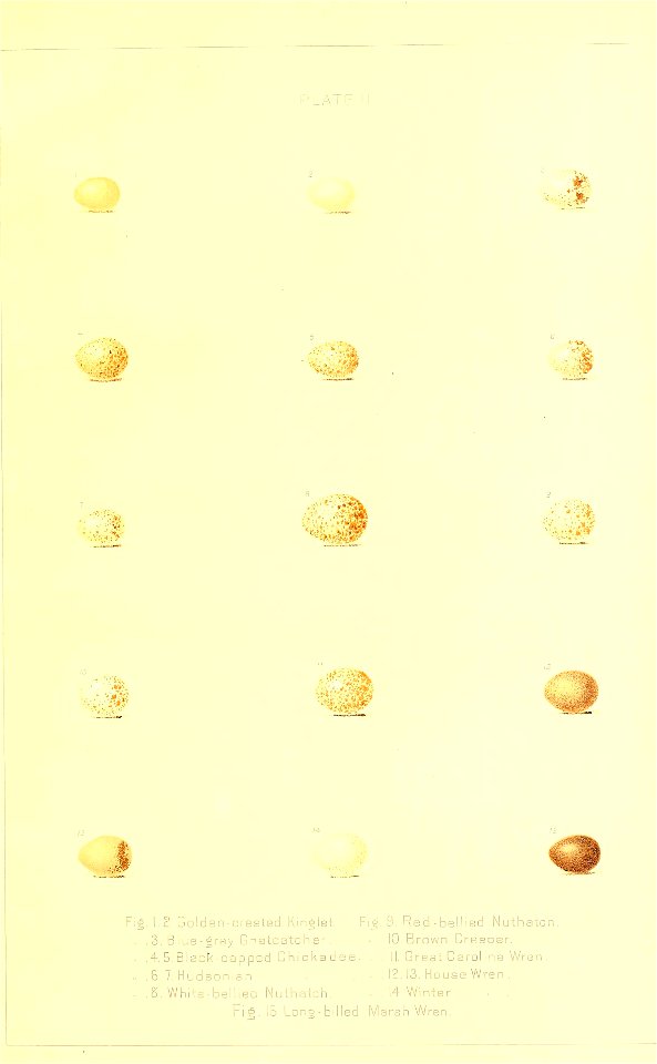 n18_w1150