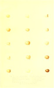 n18_w1150