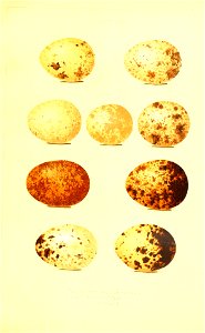 n120_w1150
