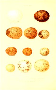 n115_w1150