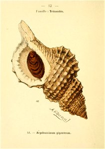 n33_w1150