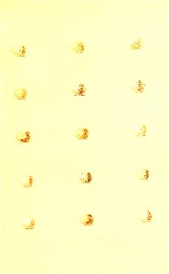 n32_w1150