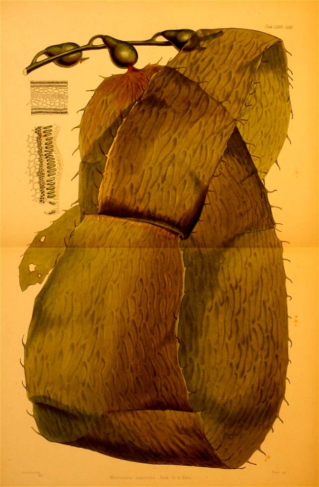 n348_w1150