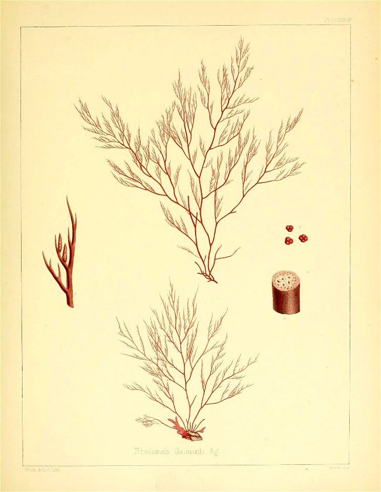 n376_w1150