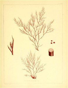 n376_w1150