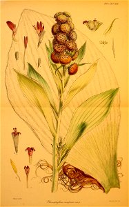 n54_w1150