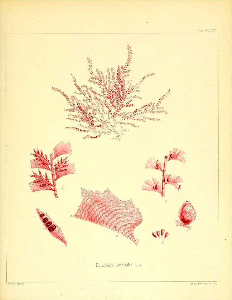 n156_w1150
