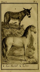 n15_w1150
