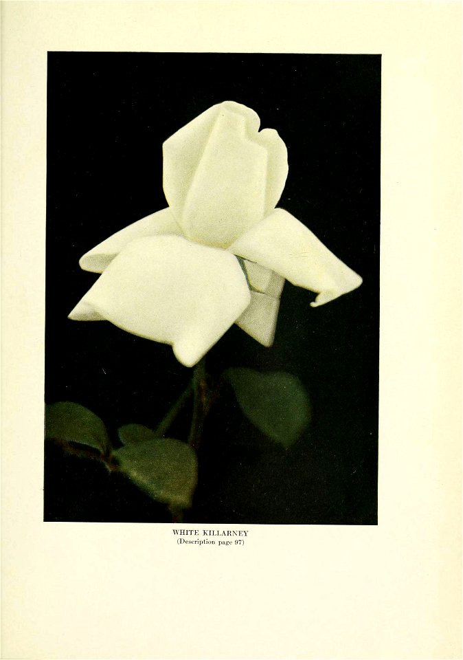 n468_w1150