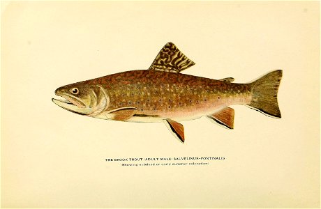 n187_w1150