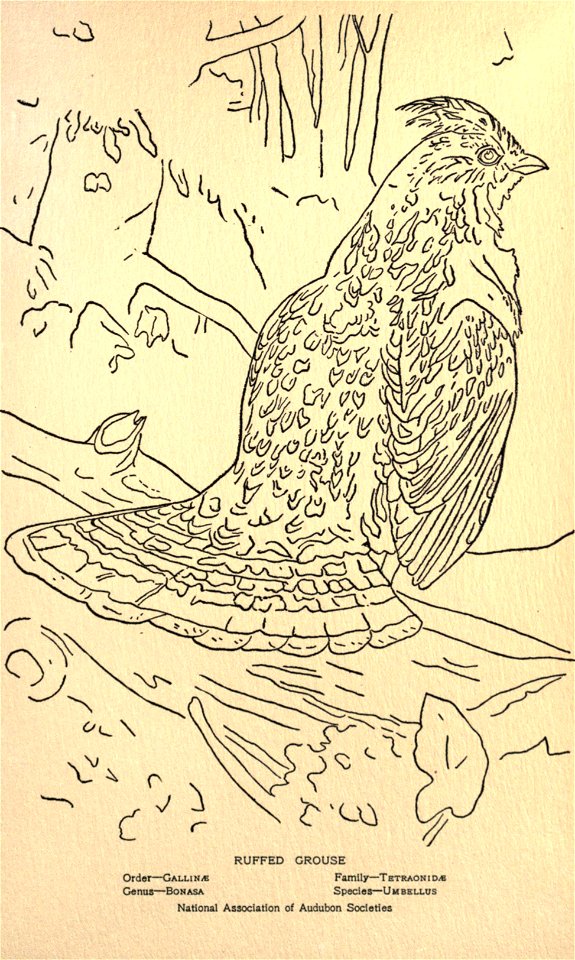 n326_w1150