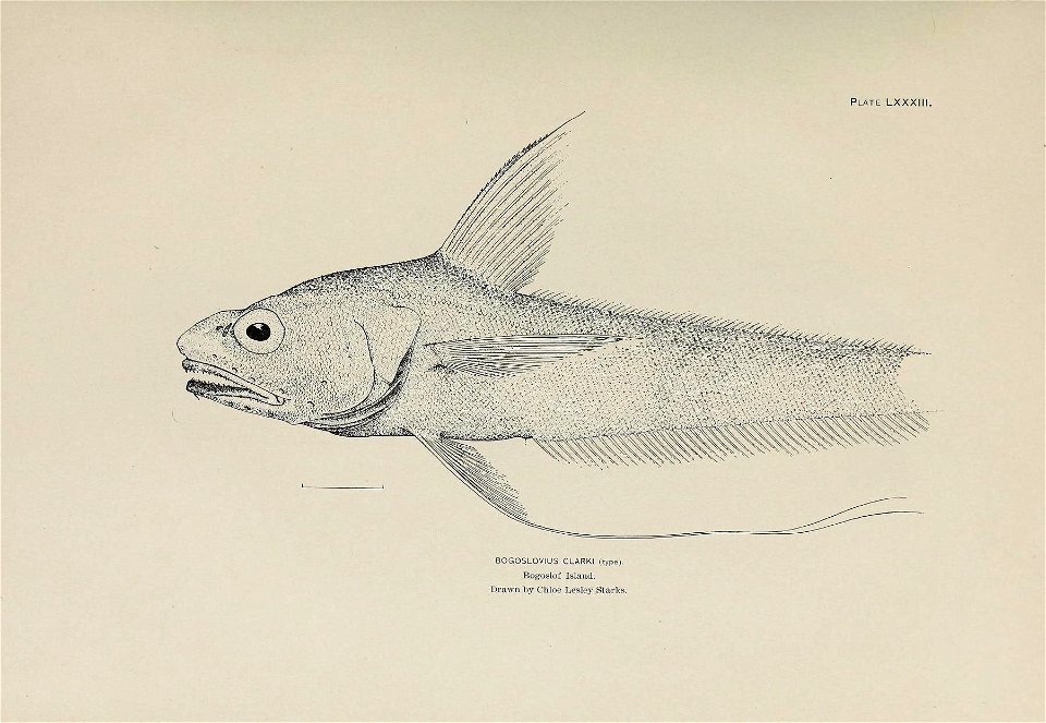 n712_w1150