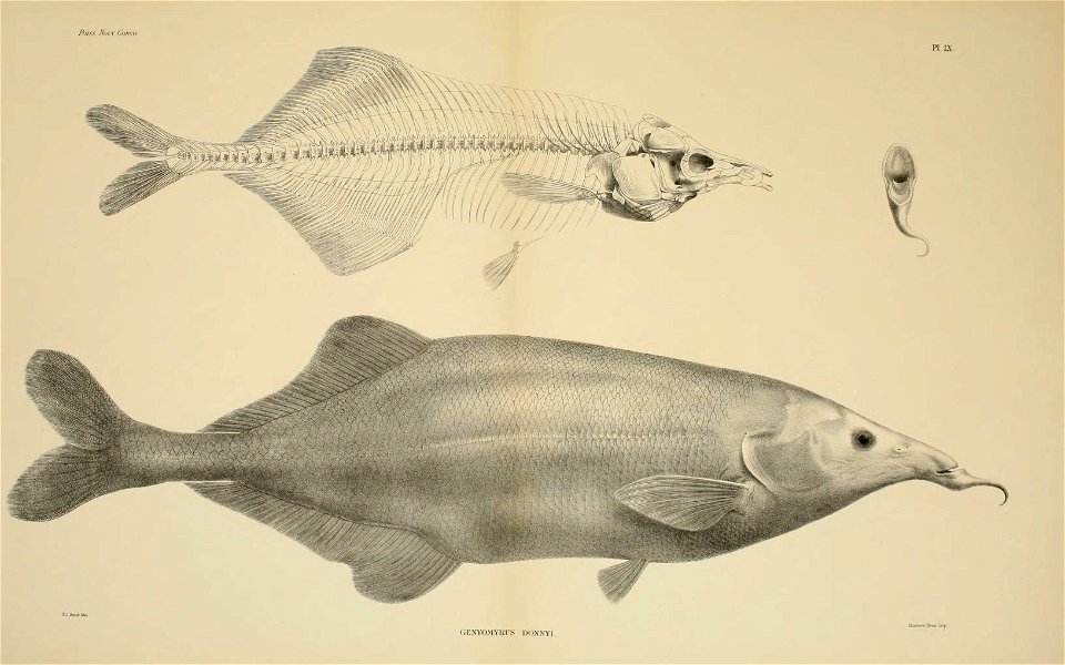 n40_w1150