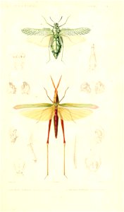 n112_w1150