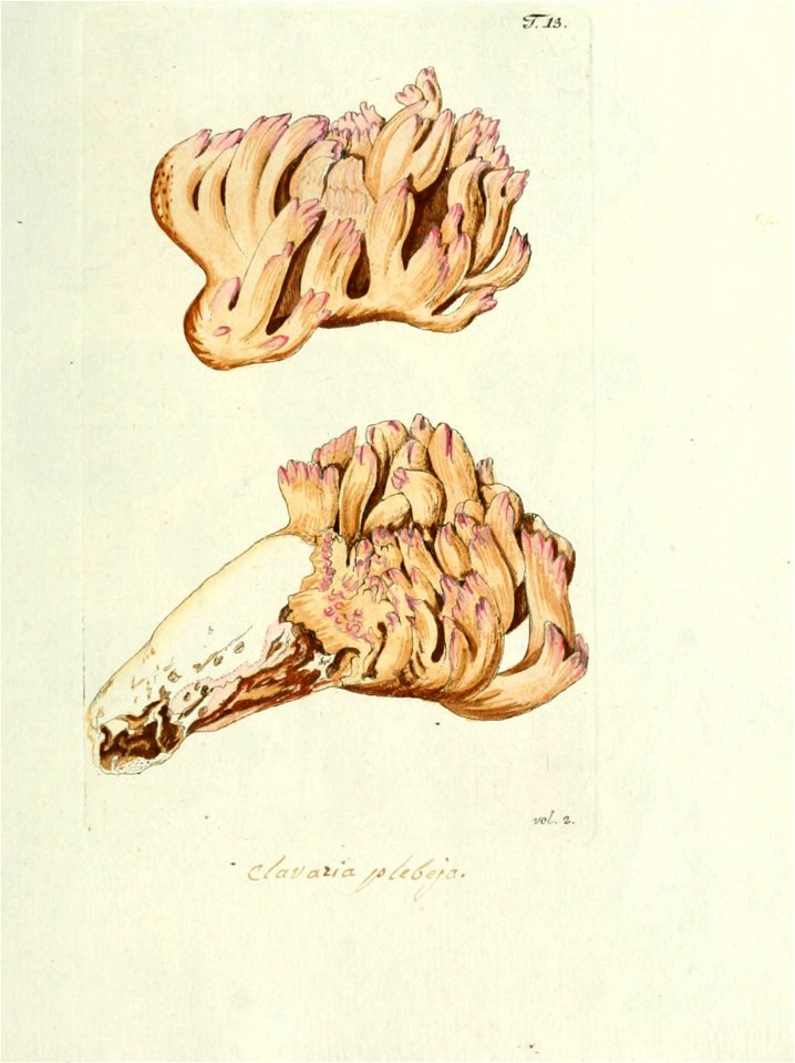 n454_w1150