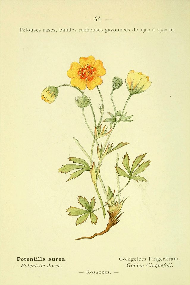 n111_w1150