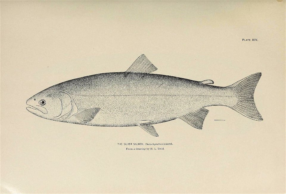 n114_w1150
