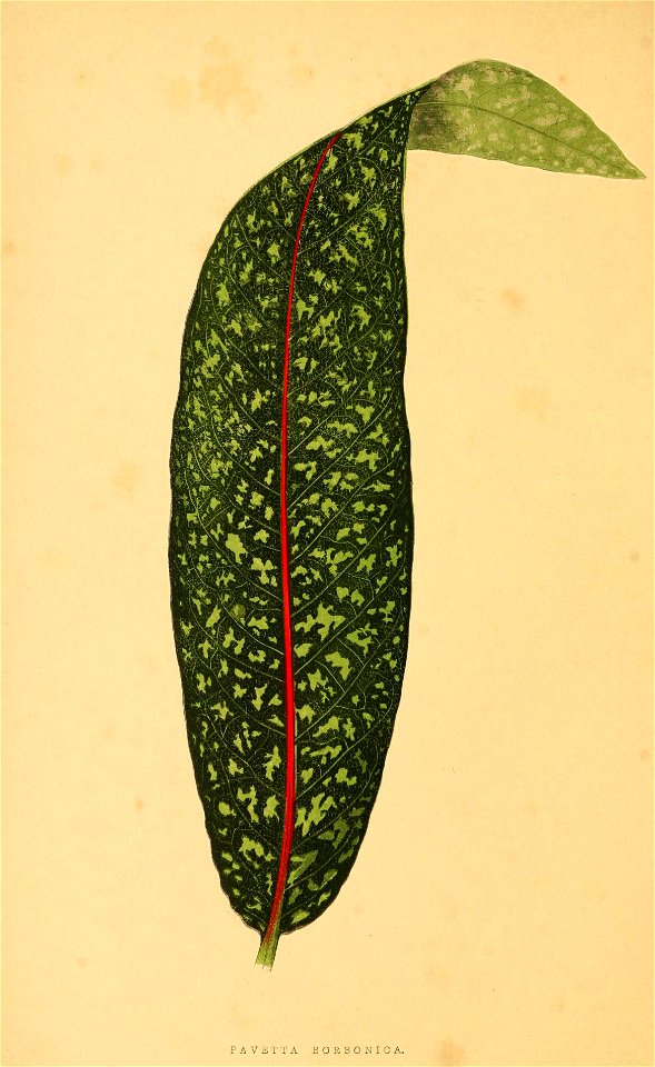 n39_w1150