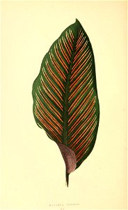 n129_w1150