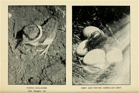 n134_w1150
