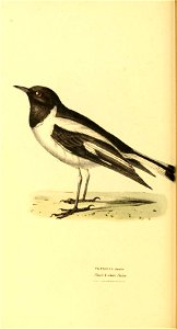 n265_w1150