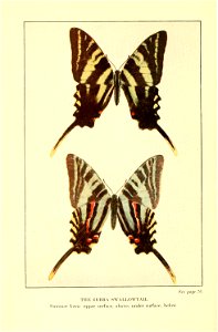 n155_w1150
