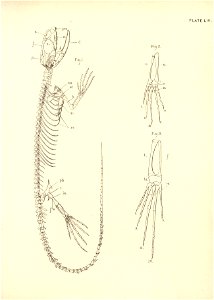 n122_w1150