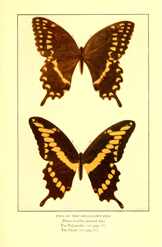 n102_w1150