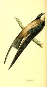 n259_w1150