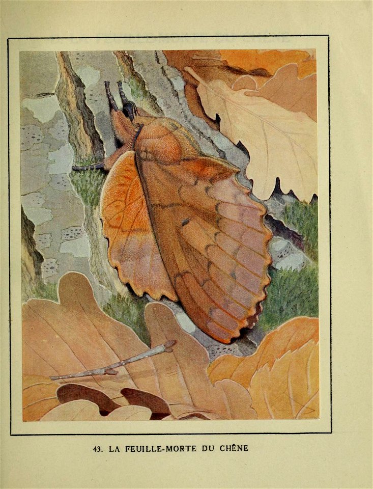 n270_w1150