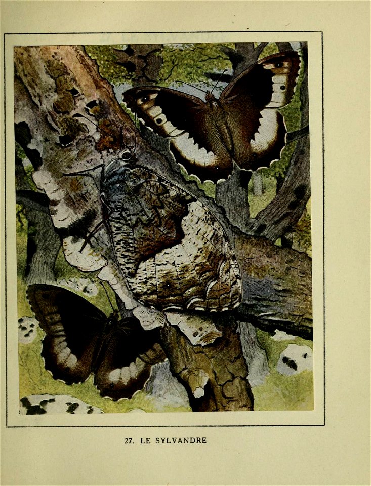 n174_w1150