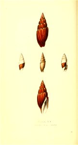 n123_w1150