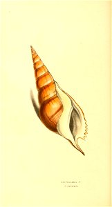 n211_w1150