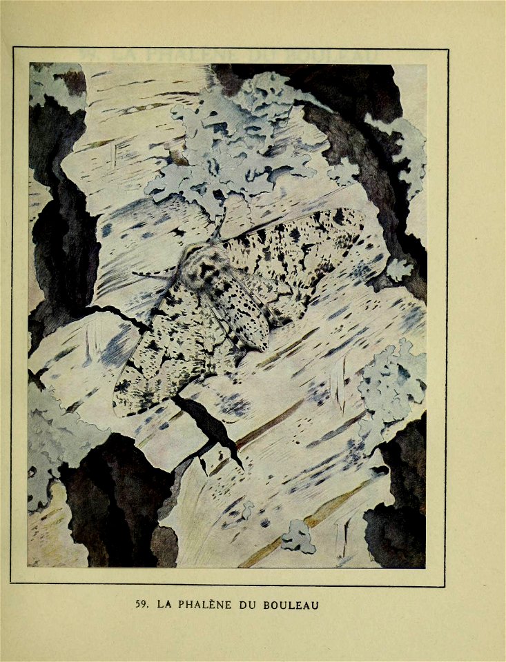 n366_w1150