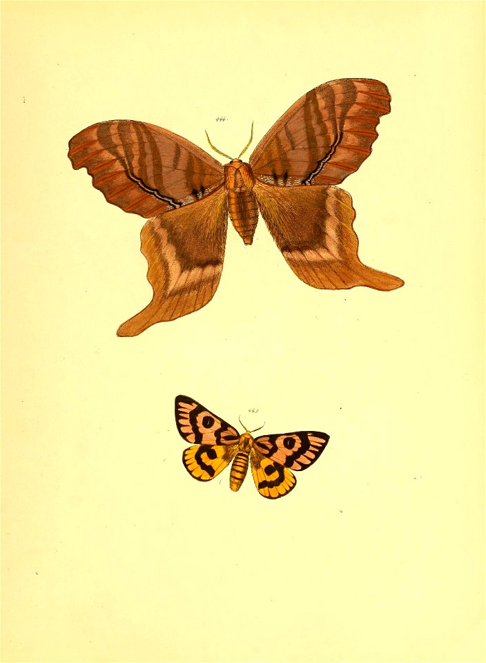 n290_w1150