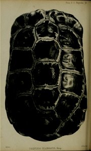 n225_w1150