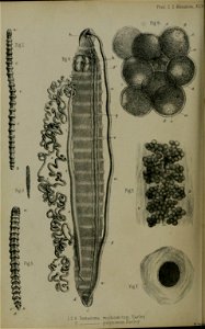 n663_w1150