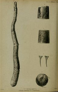 n819_w1150