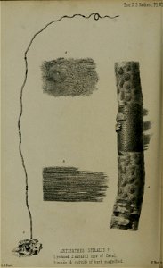 n659_w1150