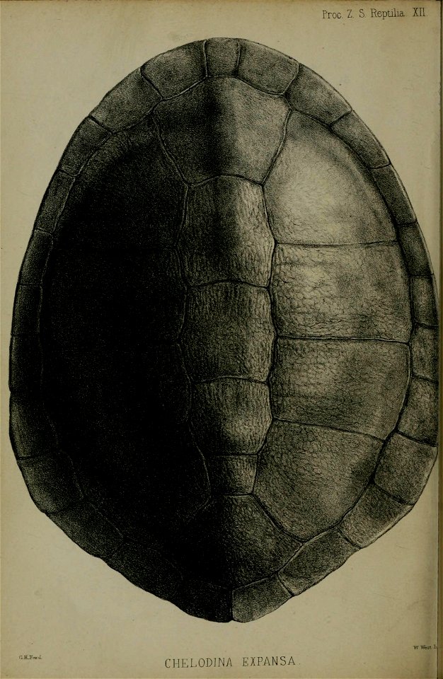 n439_w1150
