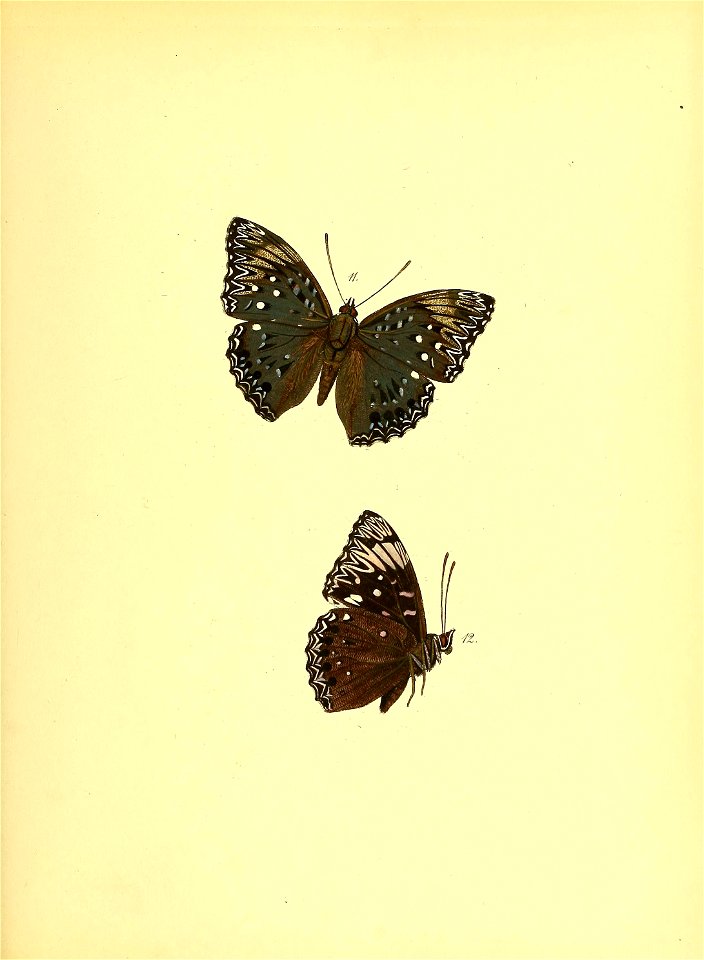 n104_w1150