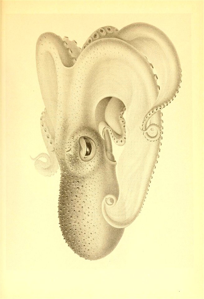 n194_w1150