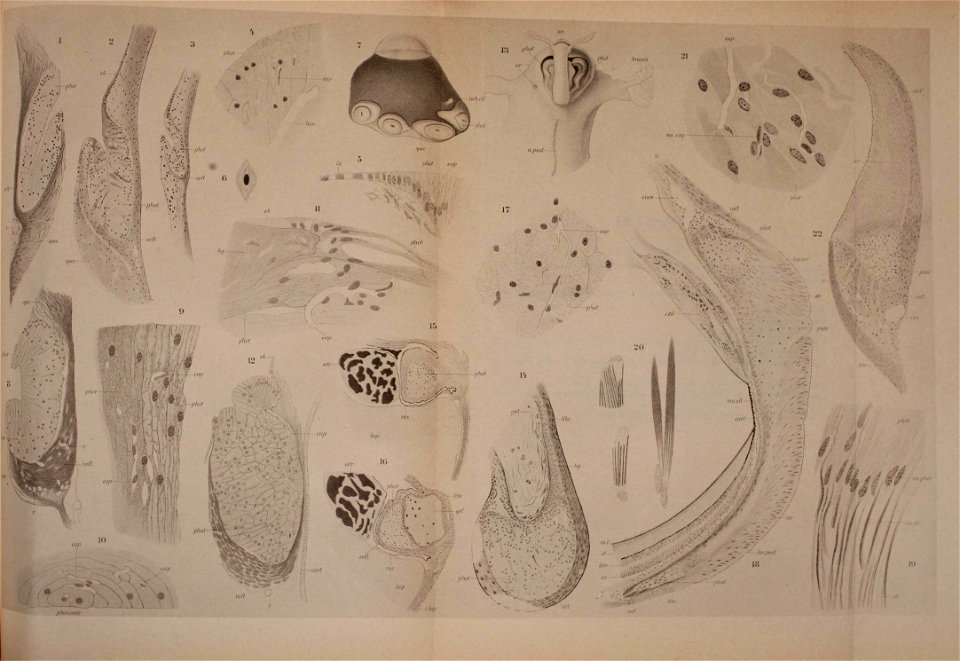 n160_w1150