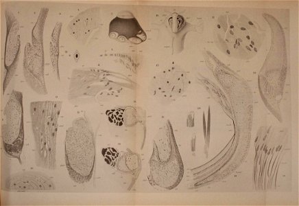n160_w1150