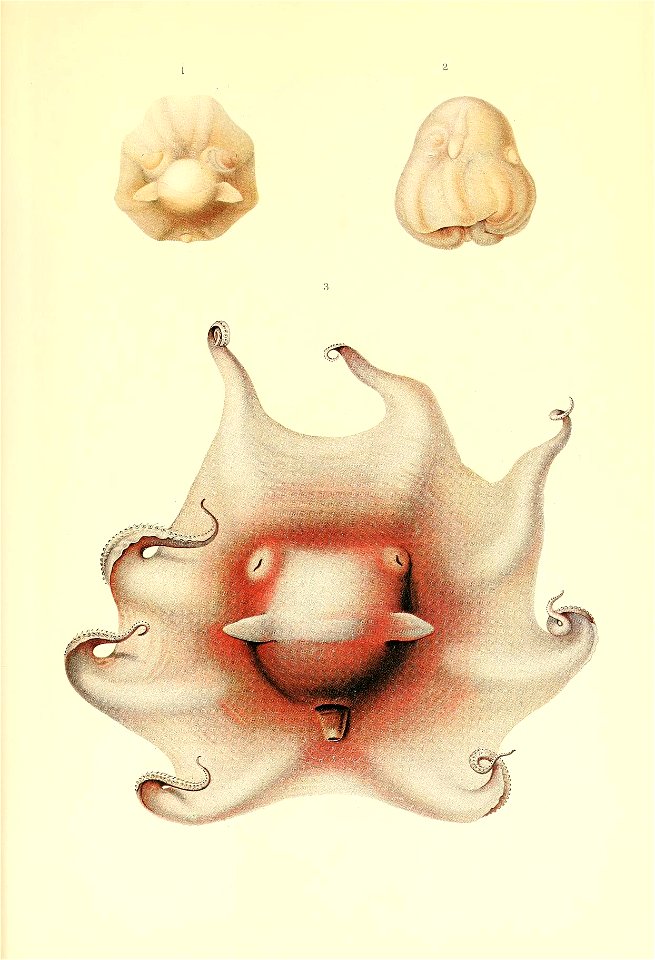 n236_w1150