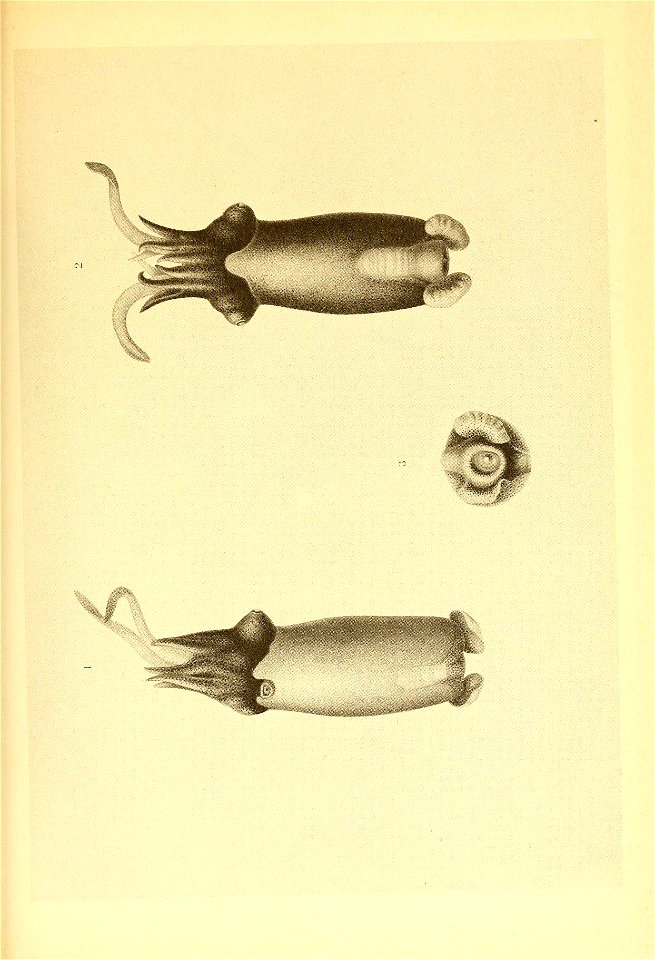 n172_w1150